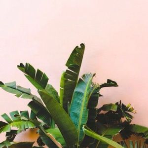 Meet your Posher, Hunter